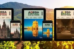 Adega em Angra dos Reis, Brasil: Guia Completo das Melhores Vinícolas e Dicas de Degustação 4 Adega em Angra dos Reis, Brasil: Guia Completo das Melhores Vinícolas e Dicas de Degustação