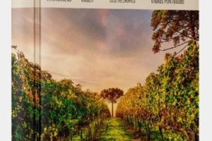 Guia Completo Adega em Itajaí, Brasil: As Melhores Vinícolas e Adegas para Visitar 6 Guia Completo Adega em Itajaí, Brasil: As Melhores Vinícolas e Adegas para Visitar